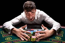 312bet bet 312bet bet