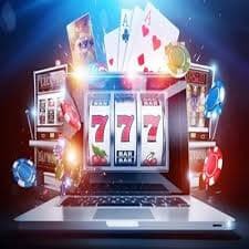 312bet bet 312bet bet